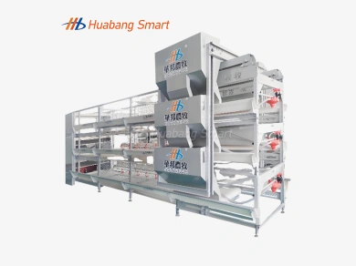 A Comprehensive Comparison Between Egg-Laying Hen Cages and Broiler Cages